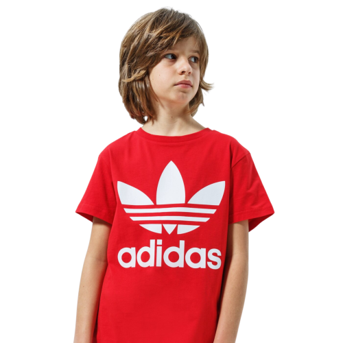 ce28f89285748a61f5eafb036fd401bf.png